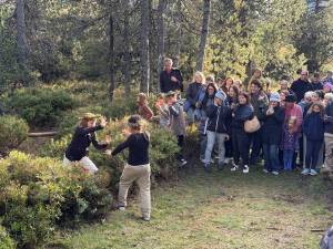 IMG_5011_original_copy_1