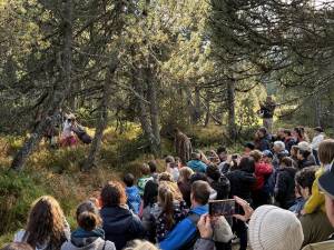 IMG_5012_original_copy_1